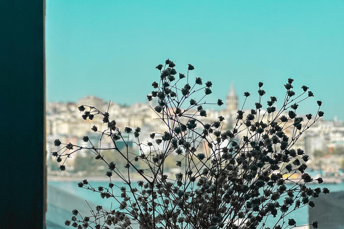The Halic Bosphorus Hotel Provincia di Provincia di Istanbul Esterno foto